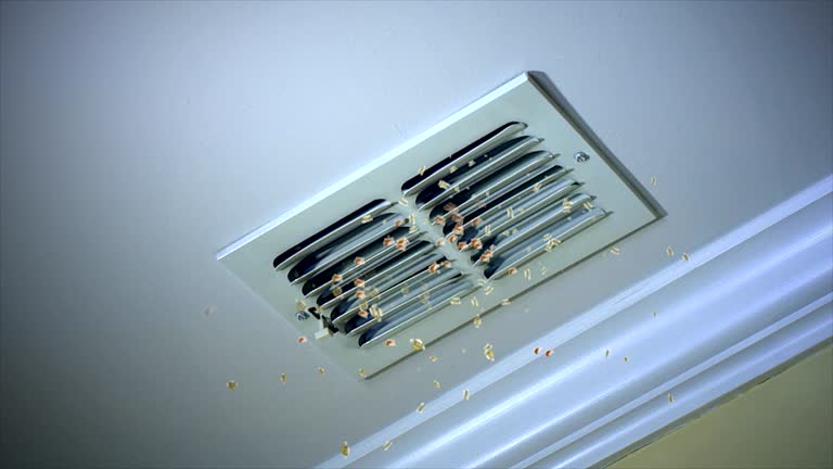 Best HVAC Maintenance and Cleaning  in Ashford, AL