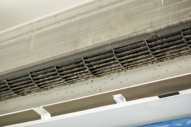Best Home Air Vent Cleaning  in Ashford, AL